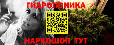 стаф Волгодонск